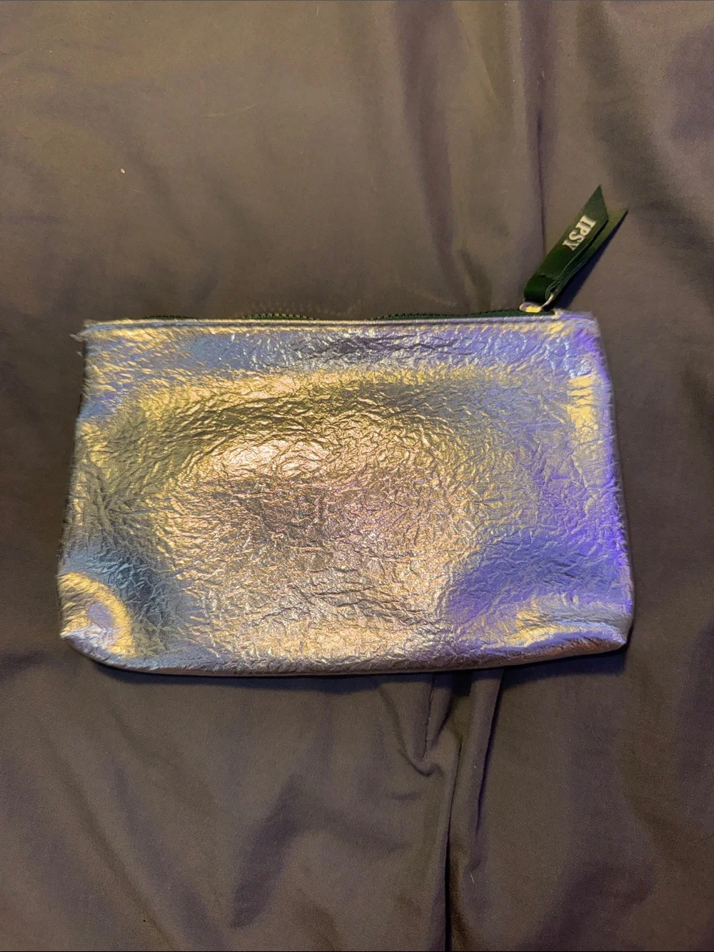 ipsy Iridescent Silver Makeup Pouch